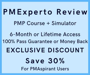 PMExperto Review with coupon
