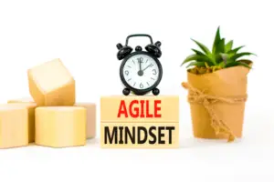 Agile Mindset