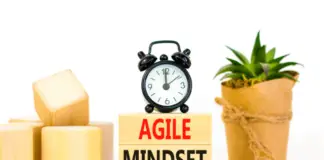 Agile Mindset